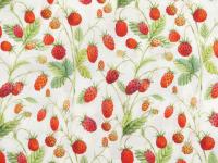 Hedgehog Hollow Erdbeeren Walderdbeeren Beeren Früchte von In the Beginning